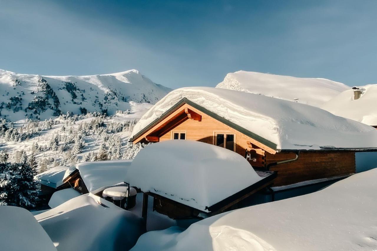Heidi Chalets Falkert Heidialm - Chalets Bergwinter Patergassen Dış mekan fotoğraf