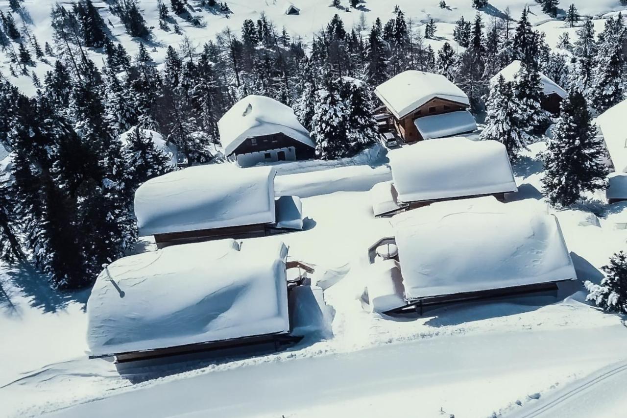 Heidi Chalets Falkert Heidialm - Chalets Bergwinter Patergassen Dış mekan fotoğraf