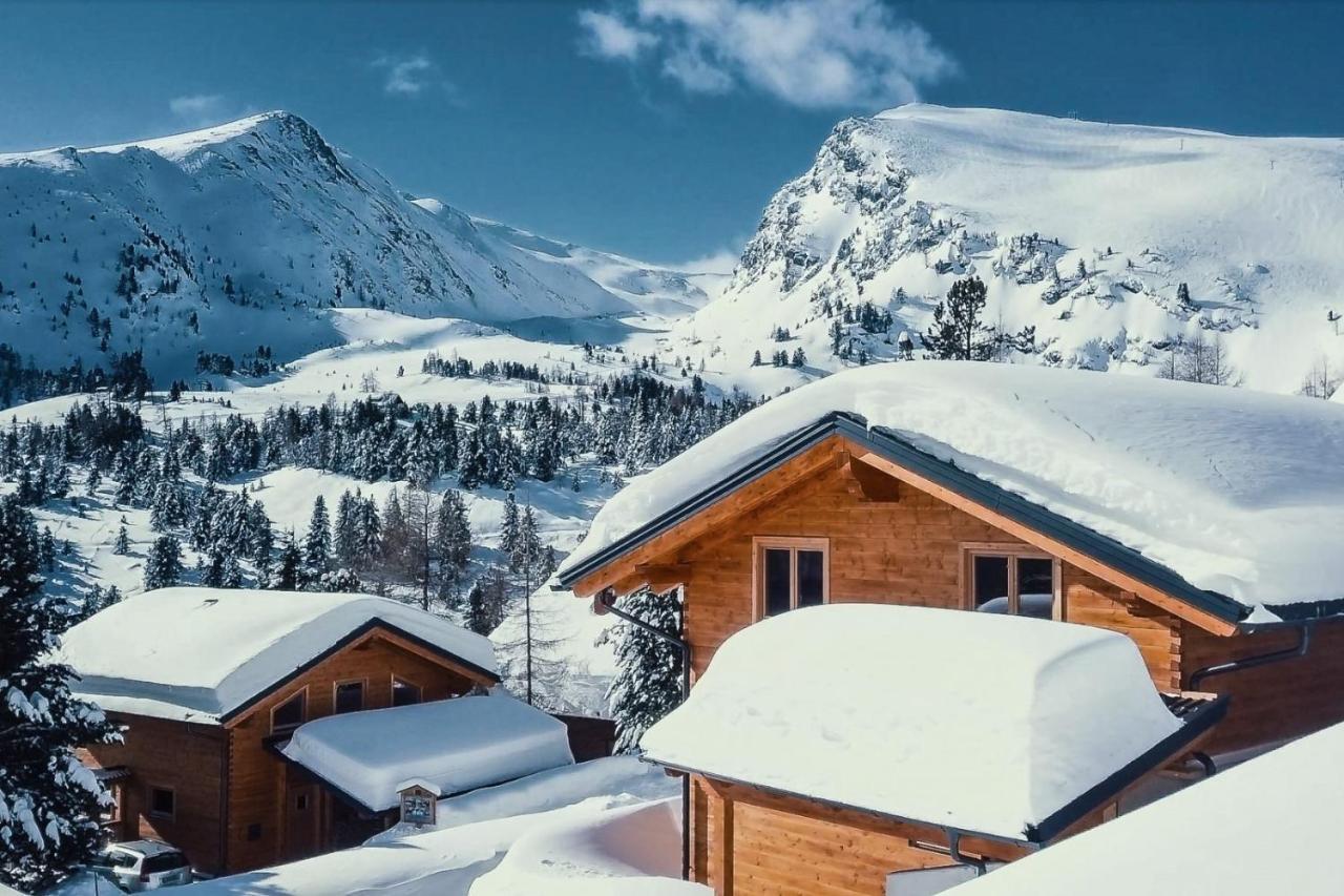 Heidi Chalets Falkert Heidialm - Chalets Bergwinter Patergassen Dış mekan fotoğraf