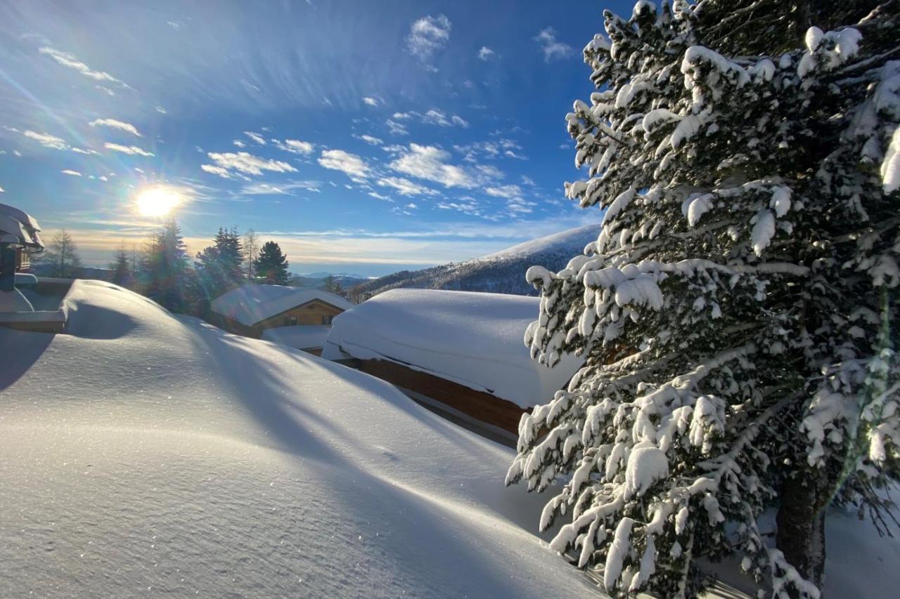 Heidi Chalets Falkert Heidialm - Chalets Bergwinter Patergassen Dış mekan fotoğraf